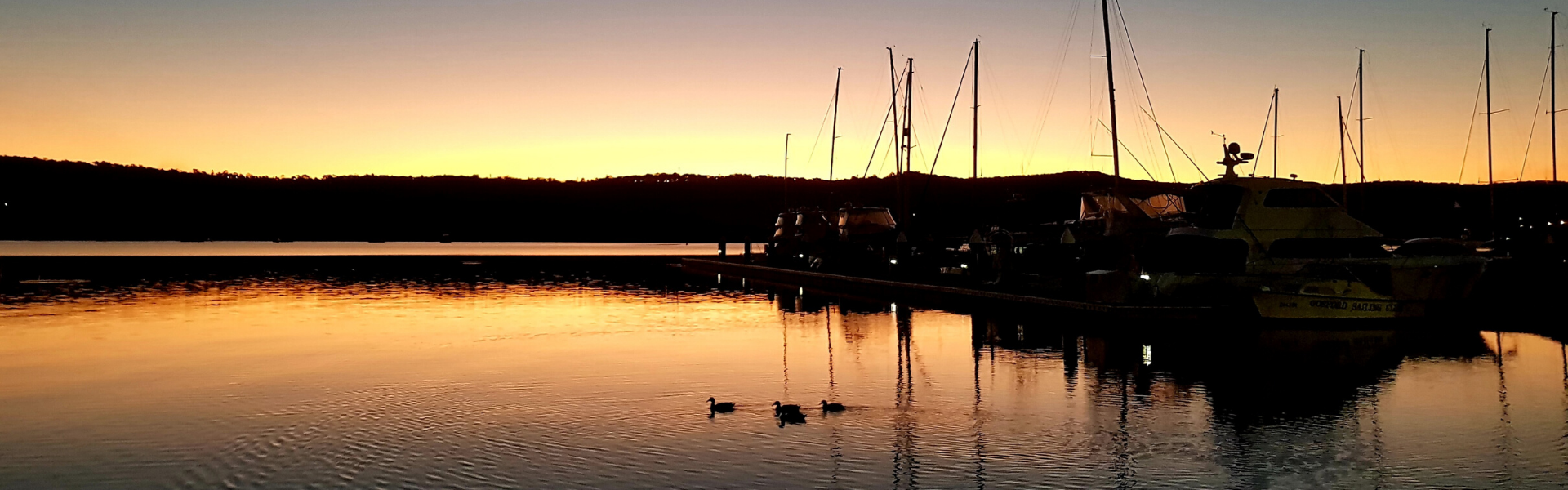 b3d0a15e-6c68-4416-8ab3-8eb76e8bf210-Untitled design (18).png