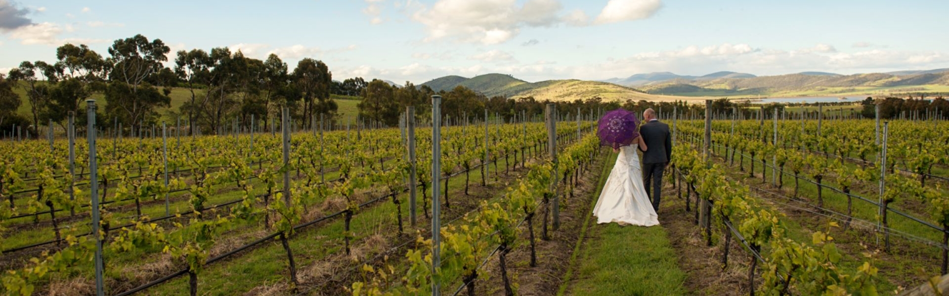 bb9df5db-0355-4a79-abe5-0a05459a4560-2 ShareeWade_145.jpg