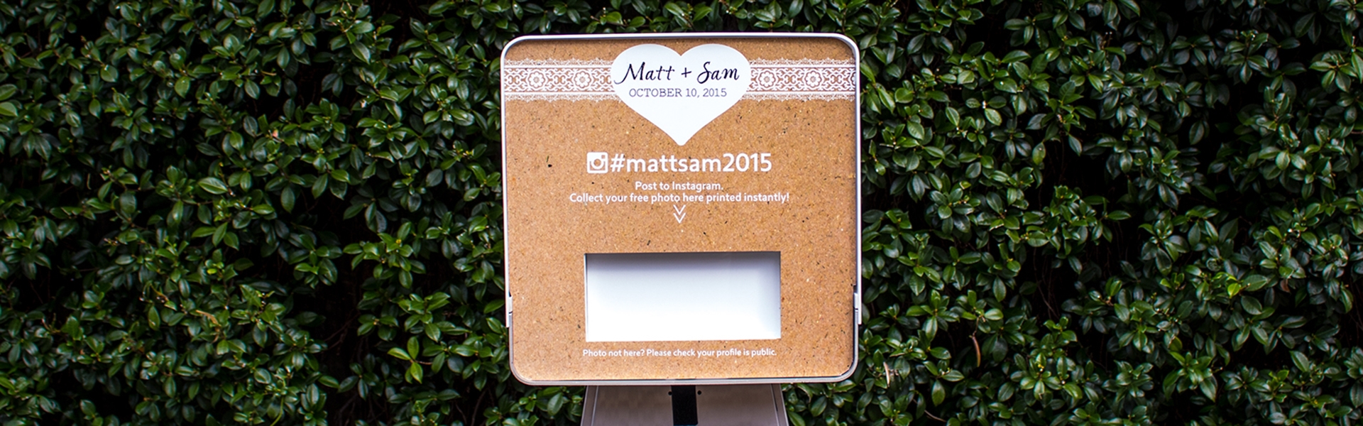 bba6de52-b406-420f-a5dd-d4645f724bb2-IMG_0553 wide.jpg