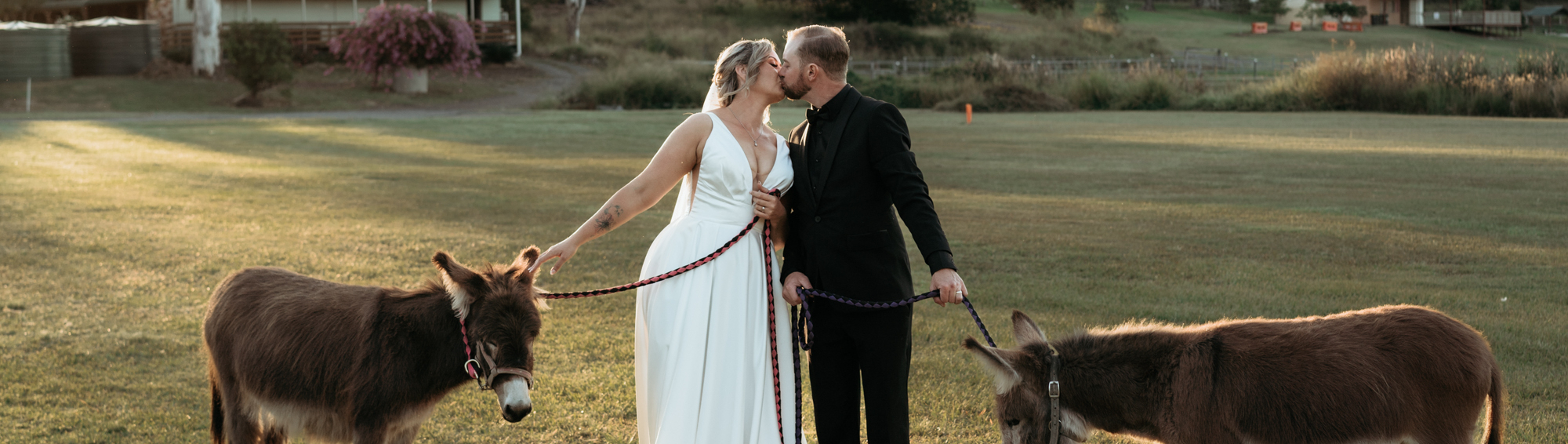 Bearded Dragon Hotel SupplierHero Wedding Venues