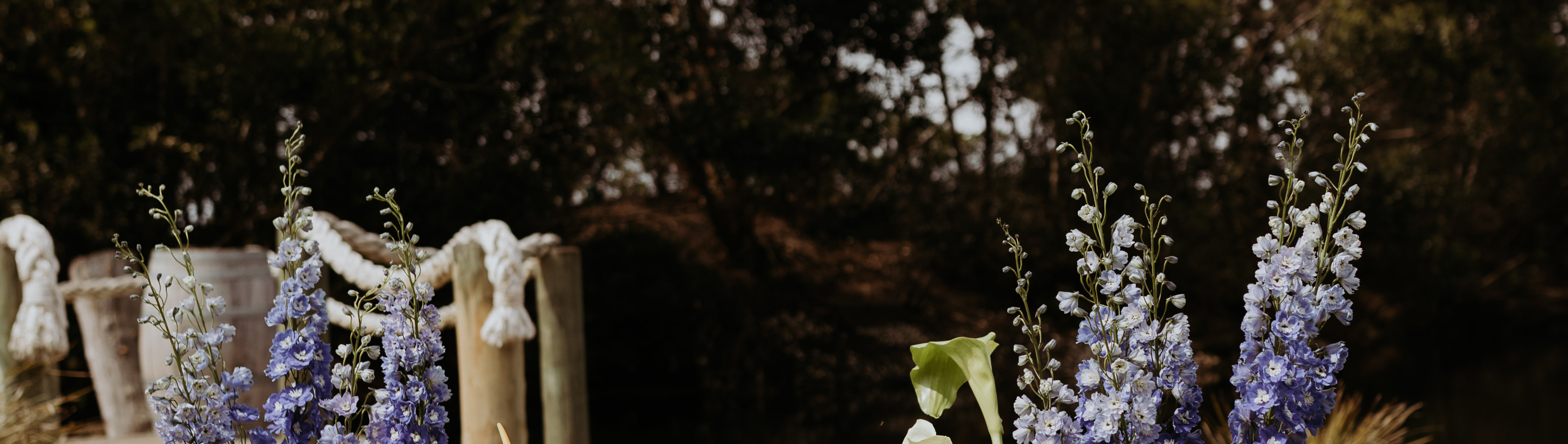 BLOEM. Phillip Island SupplierHero Wedding Flowers