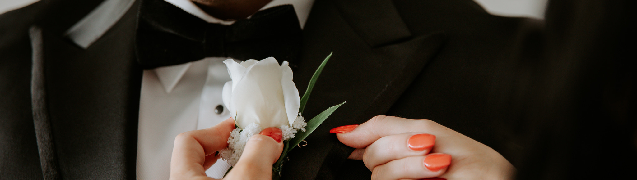 Bloom Illusions SupplierHero Wedding Flowers