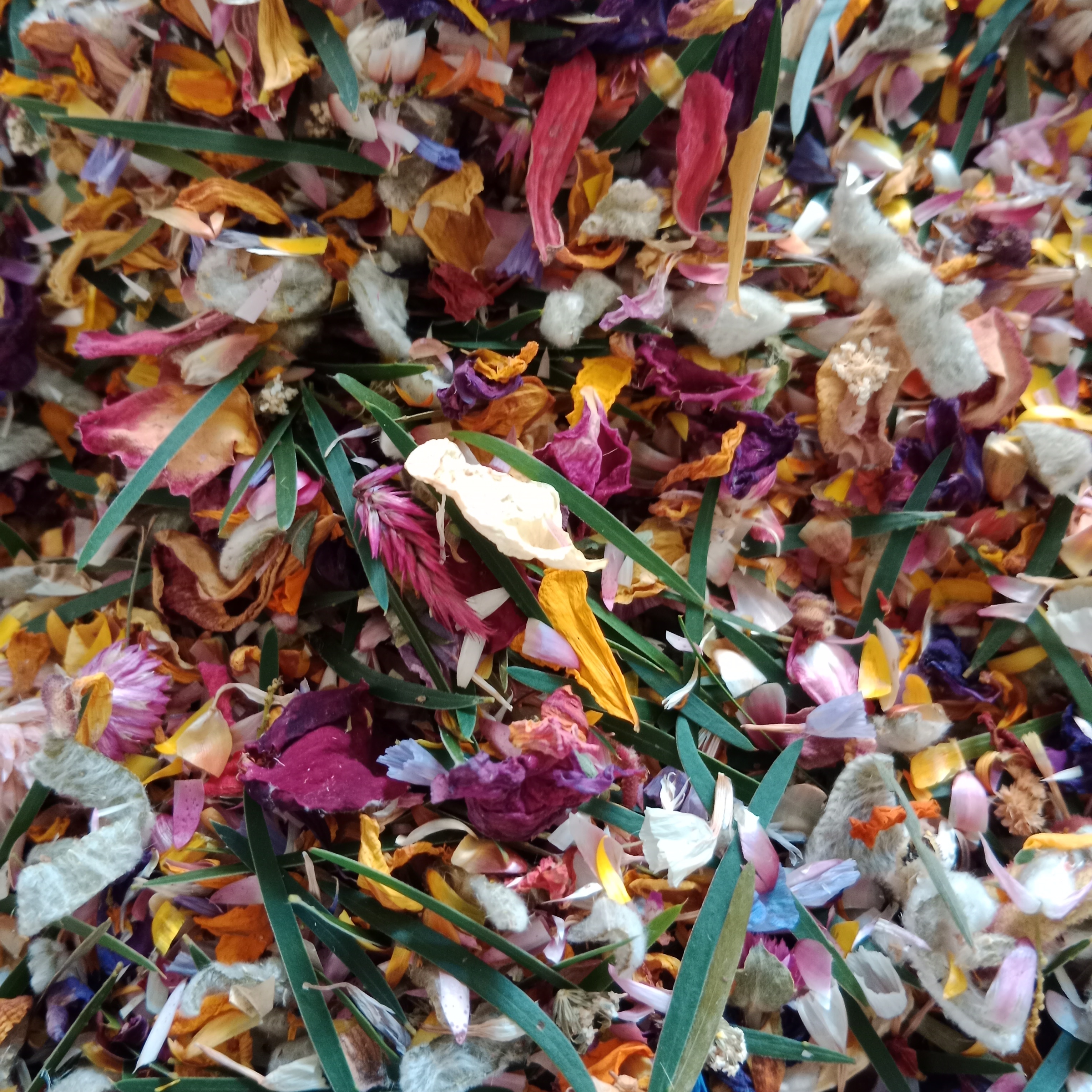 Blooming Beez SupplierHero Wedding Bomboniere