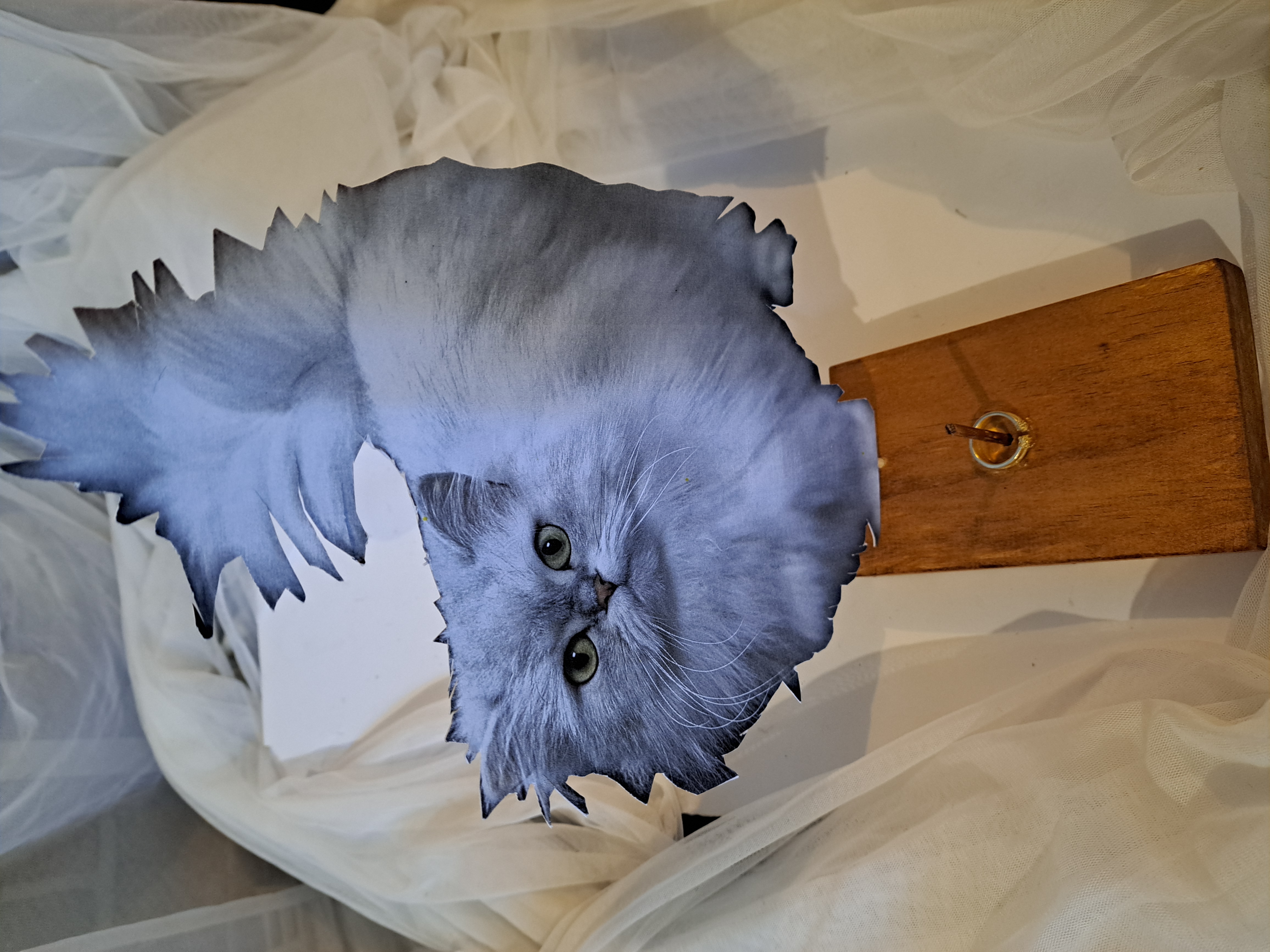 Blue Mountains Celebrant - Phil Timbrell Happyday Celebrant SupplierHero Marriage Celebrants