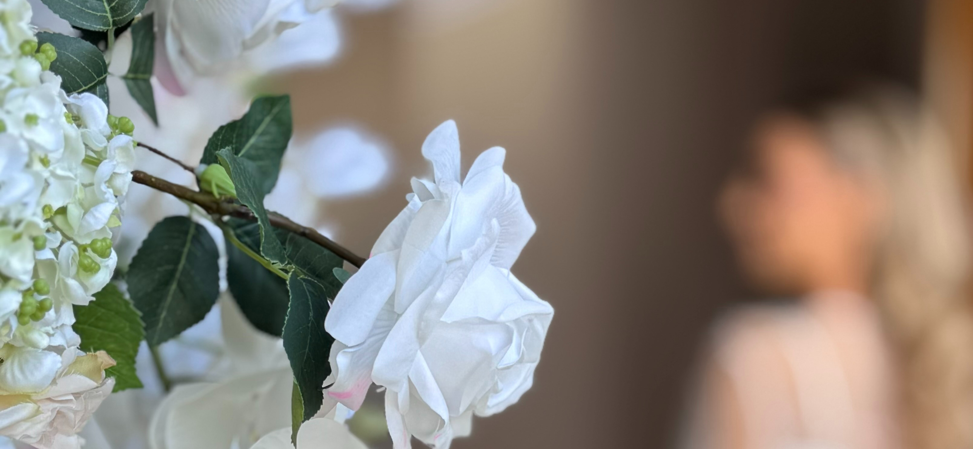 Bon Ton Settings SupplierHero Wedding Decorations