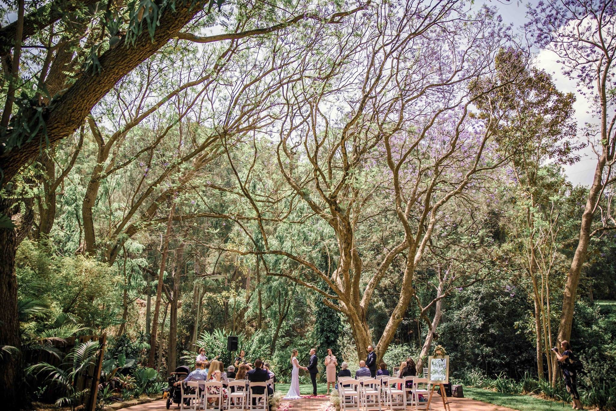 Bundaleer Rainforest Gardens Wedding Venues Brookfield Easy Weddings