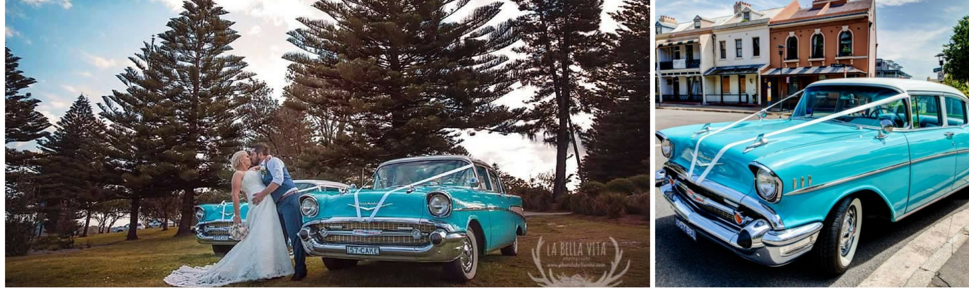 c897aae6-d0e9-4241-986b-fd93776e263c-Untitled design (41).jpg