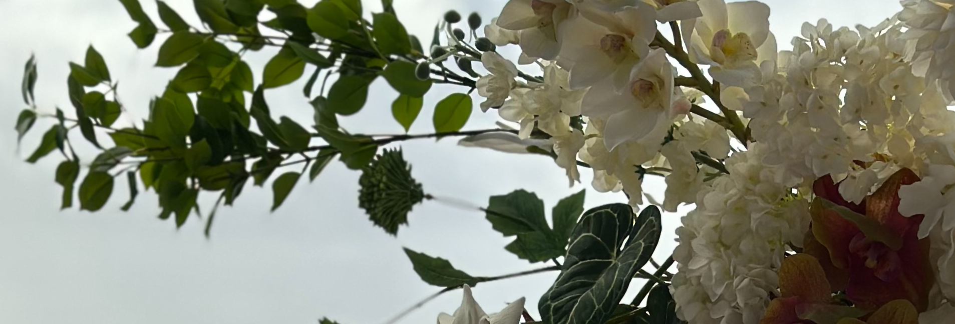 Camie Fleur SupplierHero Wedding Flowers