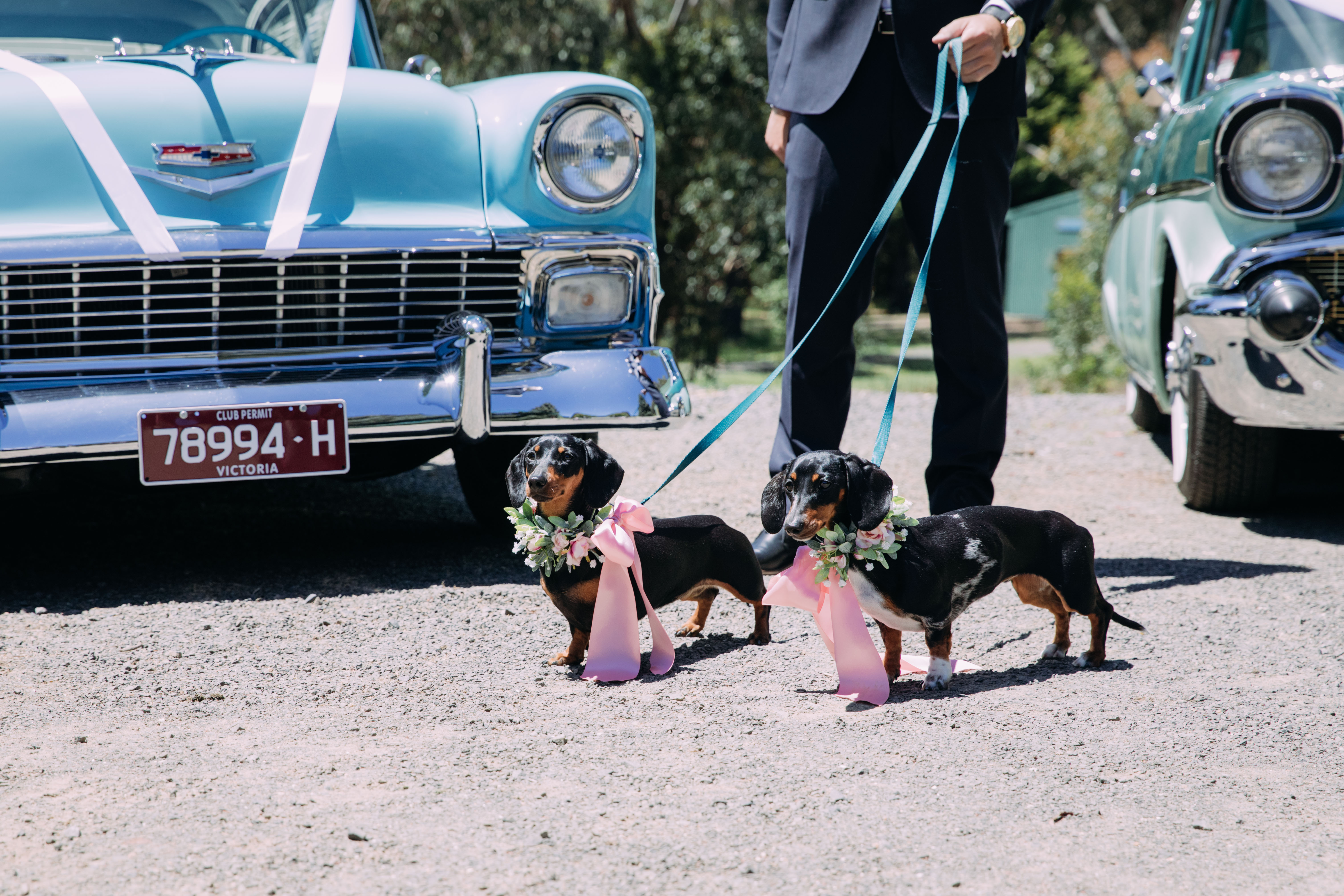 Cammeray Waters Conference Centre SupplierHero Wedding Venues