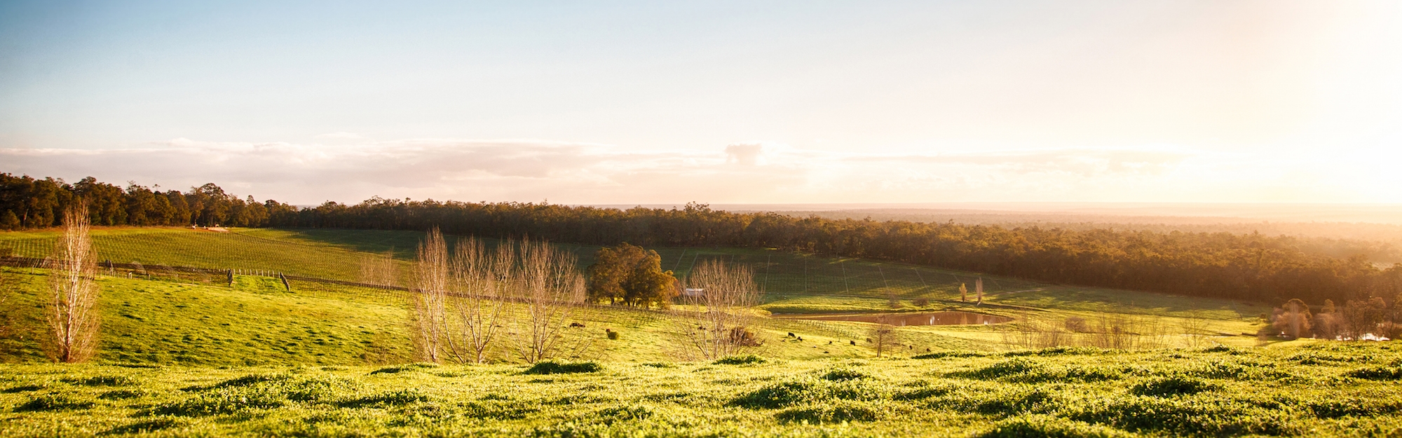 cc7b286c-685e-46d3-8fe2-2206e413a2f8-HDR124-1-TS copy.jpg