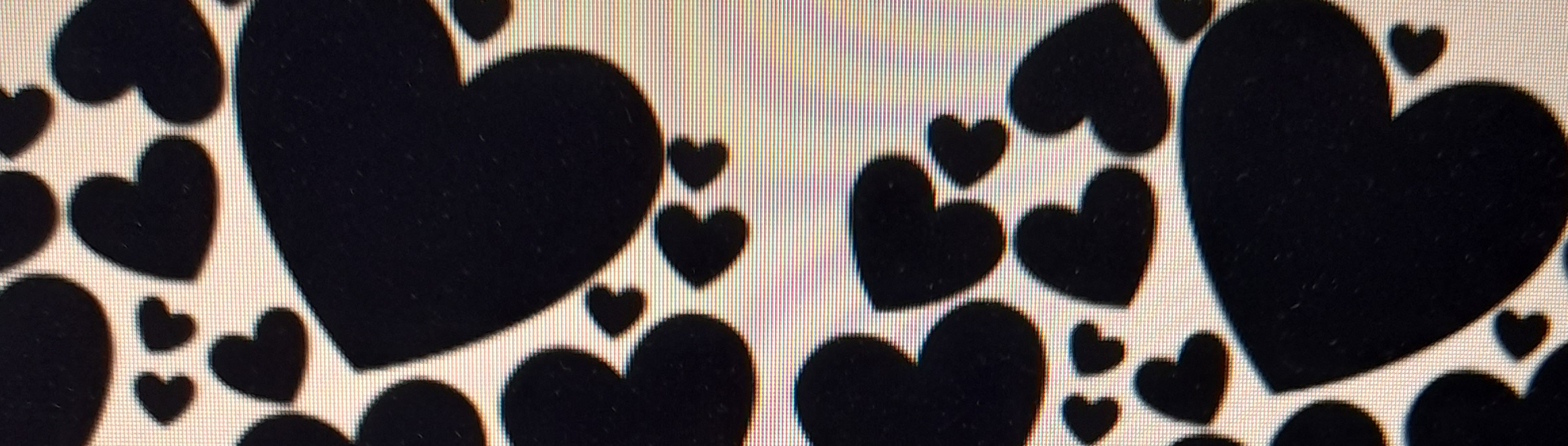 Celebrations by Jane SupplierHero Marriage Celebrants