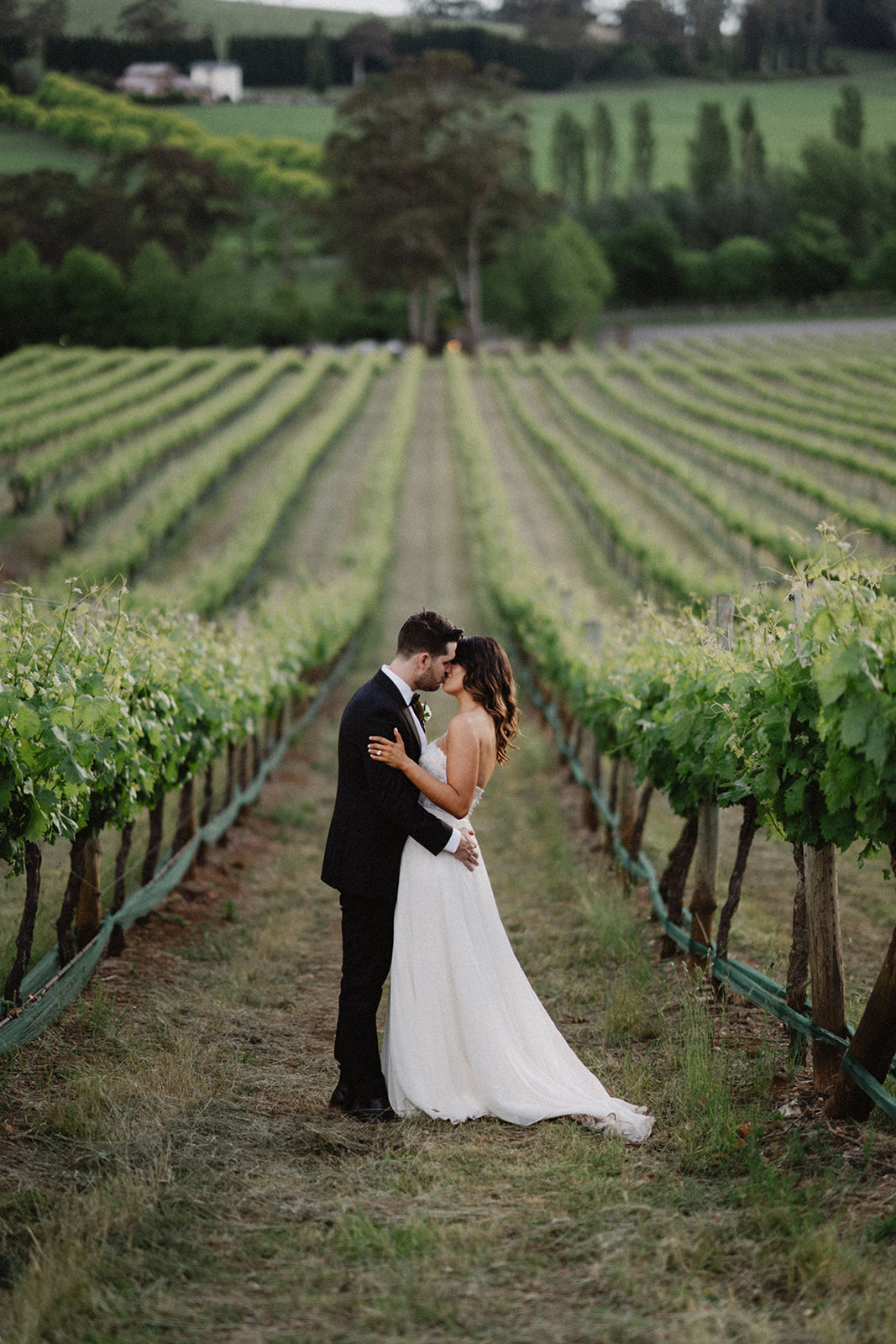 Centennial Vineyards Restaurant