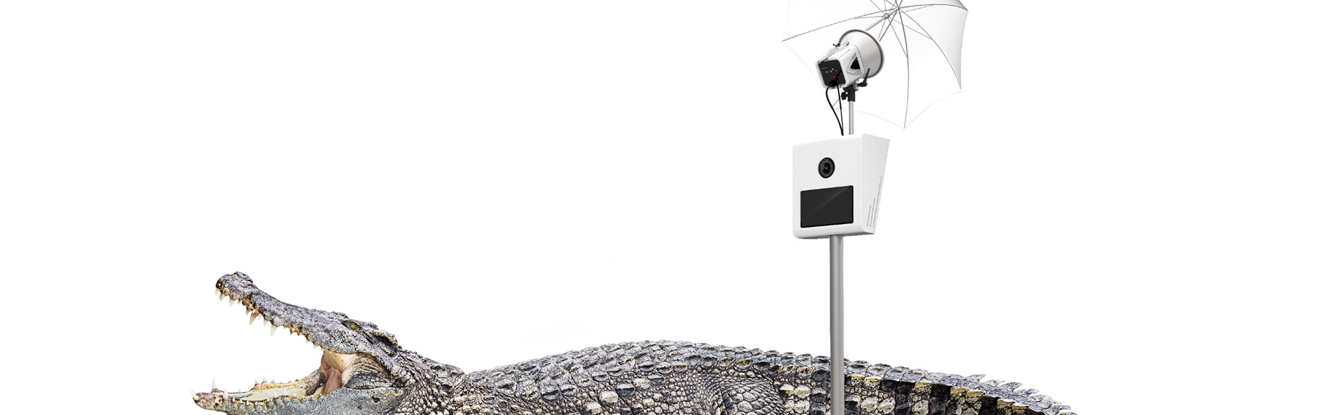 cf680204-0cf8-413b-90e7-6215c98498d5-Home 1.jpg