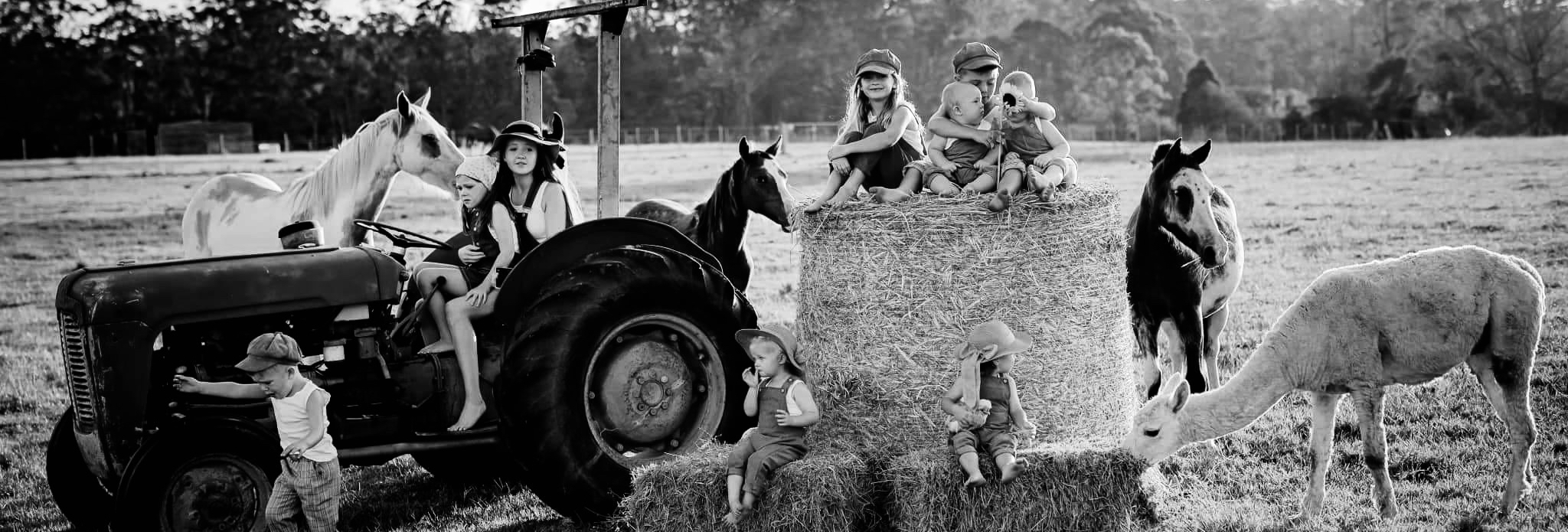 Cobb and Coach Farm SupplierHero Wedding Venues