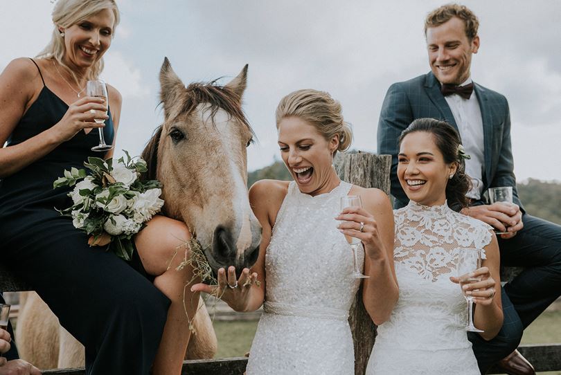 Cowbell Creek SupplierProfileLive Wedding Venues