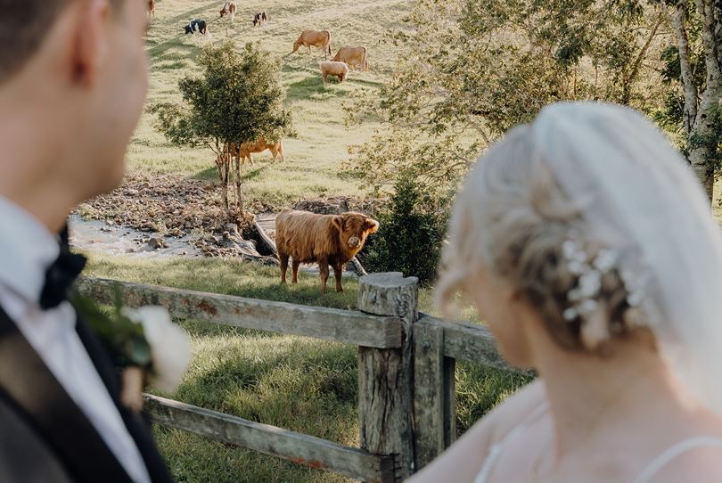 Cowbell Creek SupplierProfileLive Wedding Venues