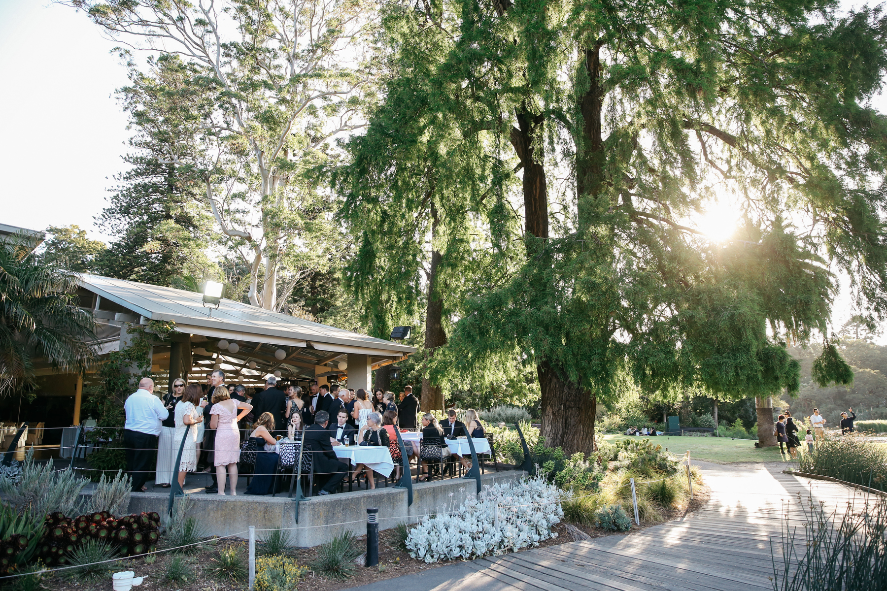 The Terrace Royal Botanic Gardens Melbourne Wedding Venues South