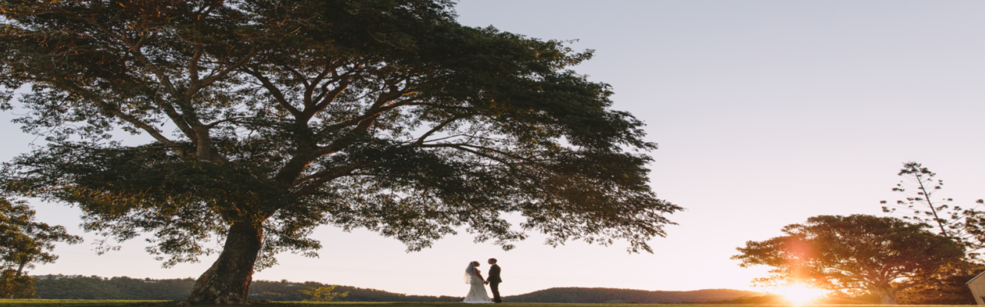 dd364384-21a9-4051-a6ef-dd5425e1de2e-Blank 1920 x 600.png