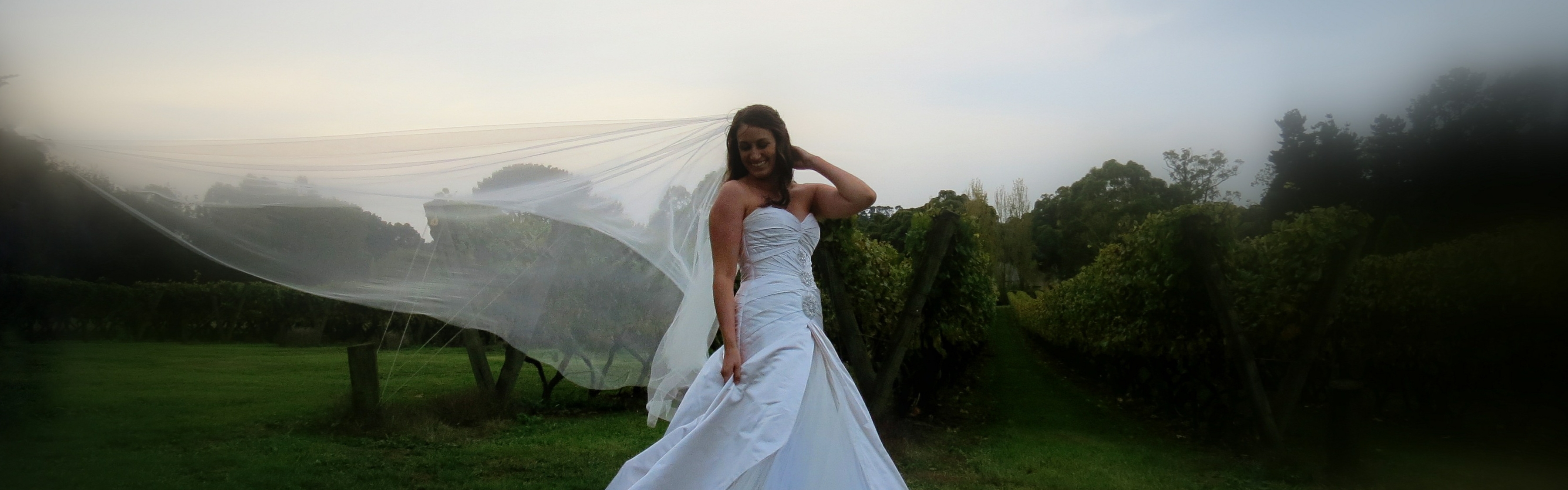 dfd2951e-af18-42ce-bacb-fea4ee166c2a-Alison Wide screen shot.jpg