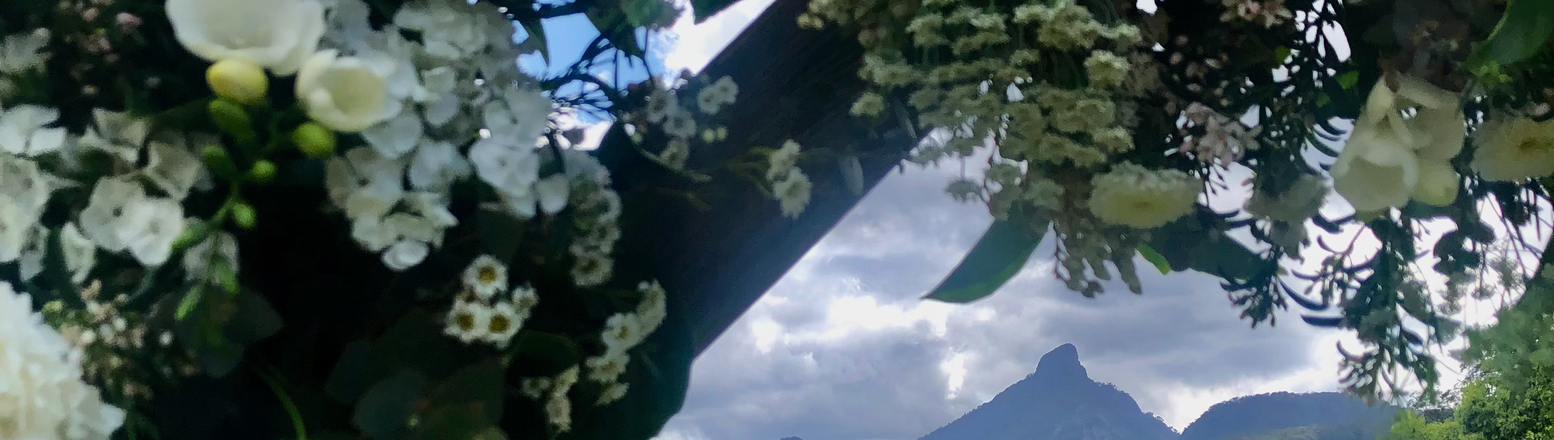 Diana Simmonds - Marriage Celebrant SupplierHero Marriage Celebrant