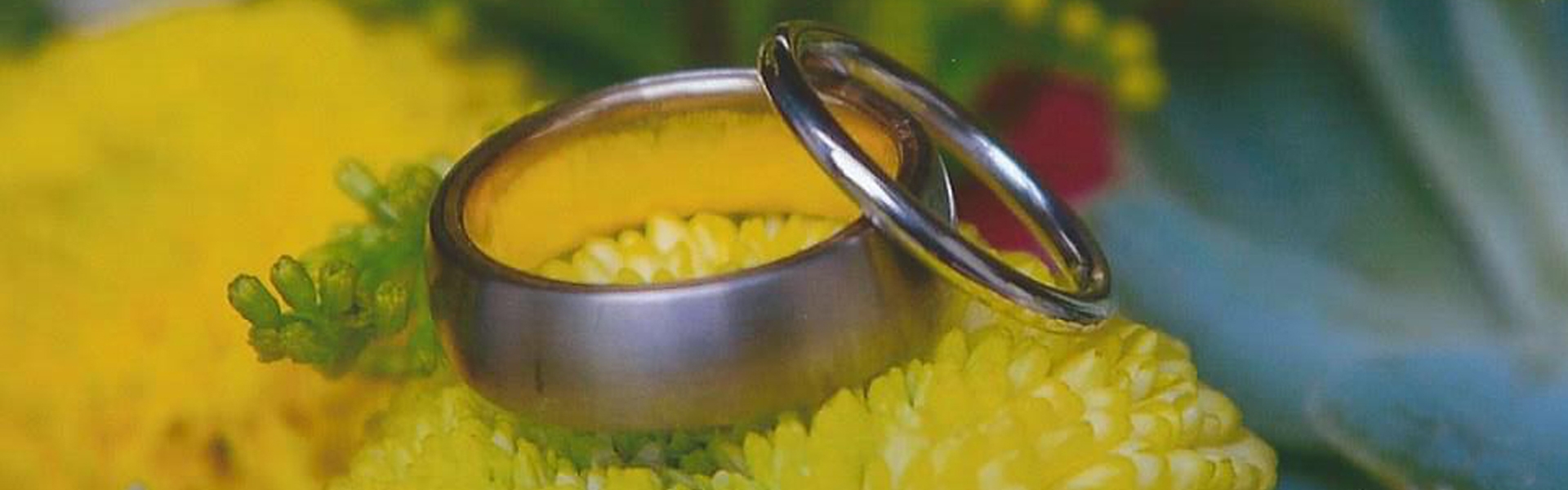 e0dfdbcd-9e7a-4234-af75-ee543ca7ac45-hero 3.jpg