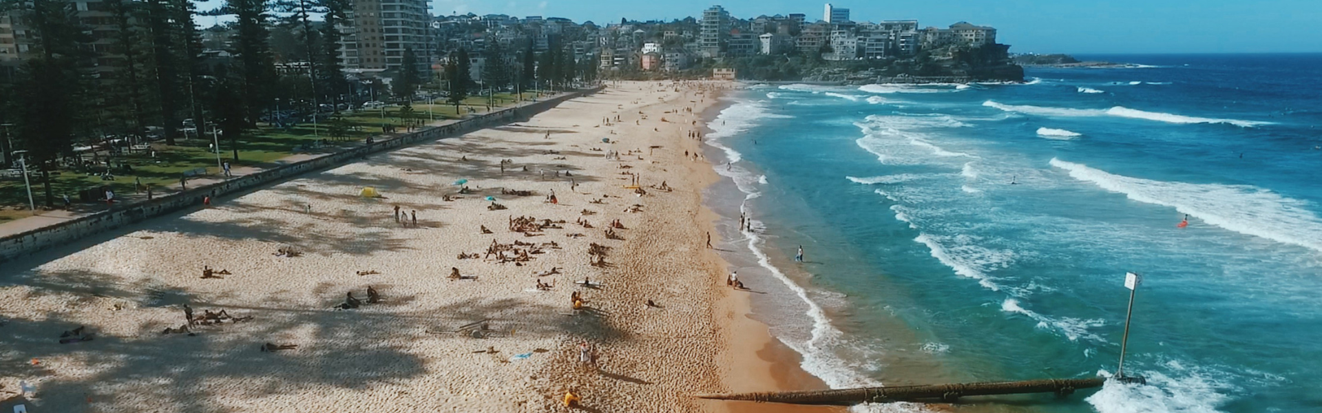 f51a2230-dd72-4ba5-b75f-bf453dd9d8da-Untitled design (5).png