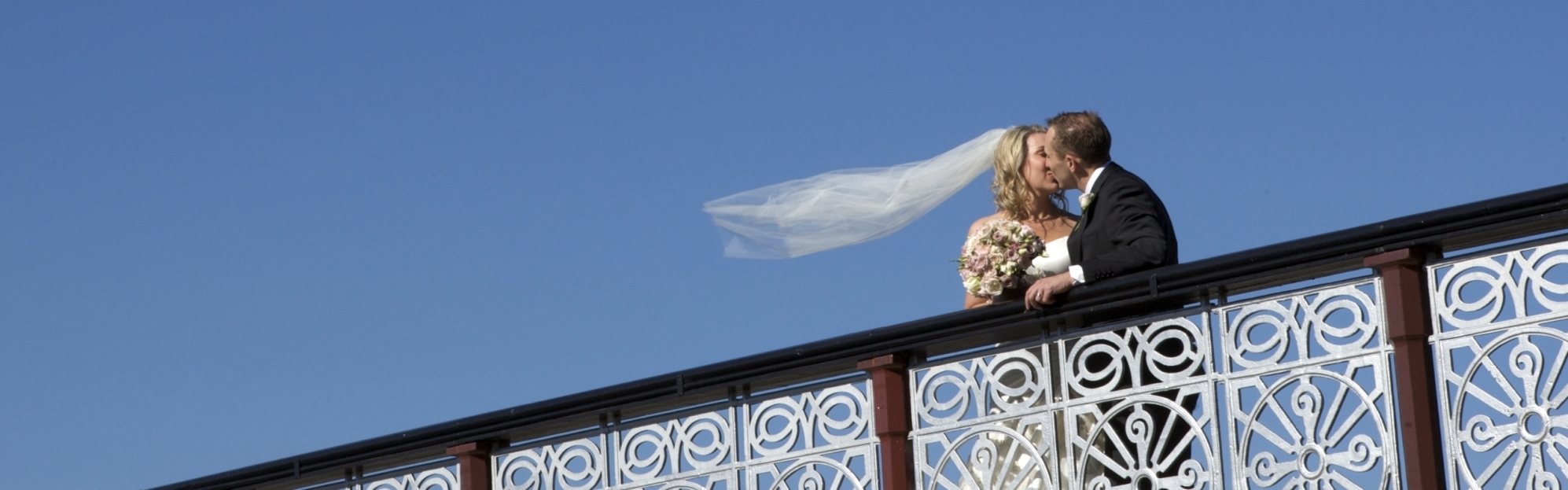 fa4b274b-6b65-4a25-9071-dedcb12216c5-Paul Loughnan Photography (5).jpg