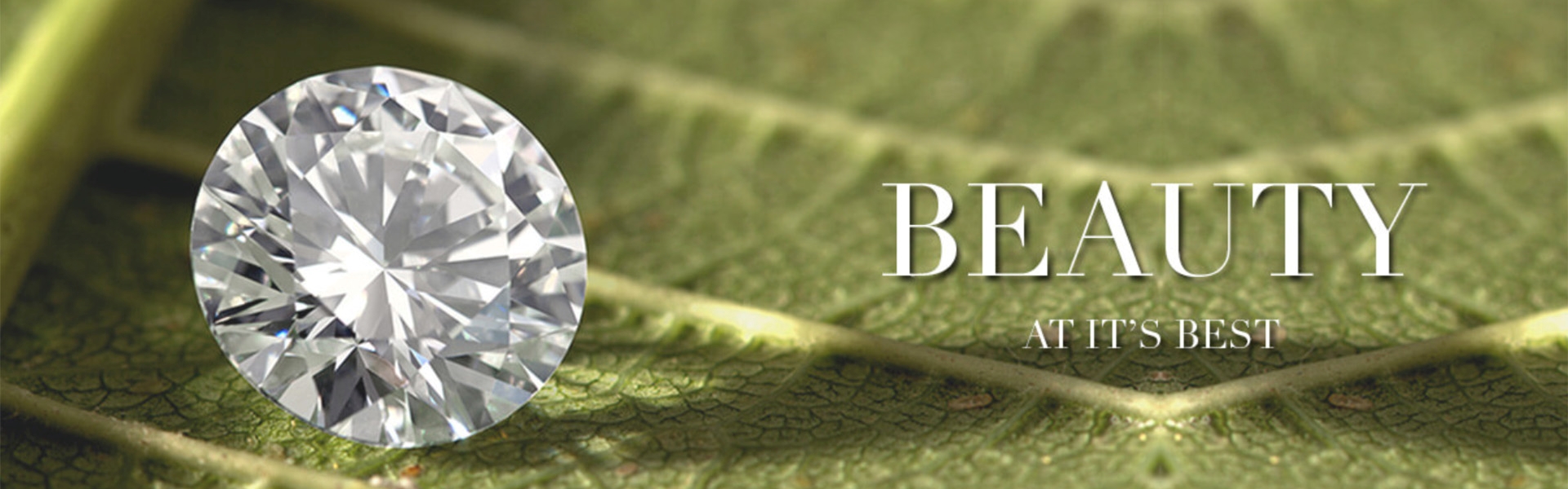 ffcfe3e9-fbd6-4e6f-8e6f-ead6e685fe87-Beauty at it's best.jpg