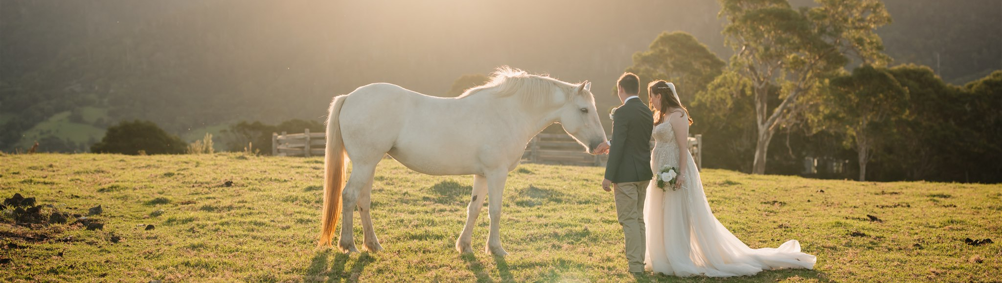 Fig Tree Park Weddings SupplierHero Wedding Venues