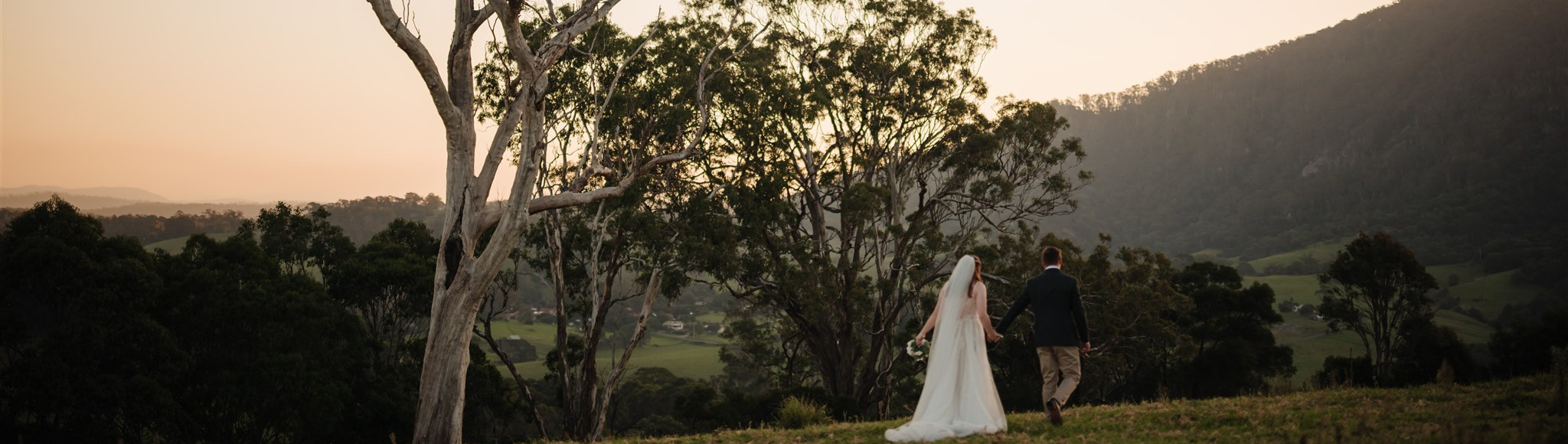 Fig Tree Park Weddings SupplierHero Wedding Venues