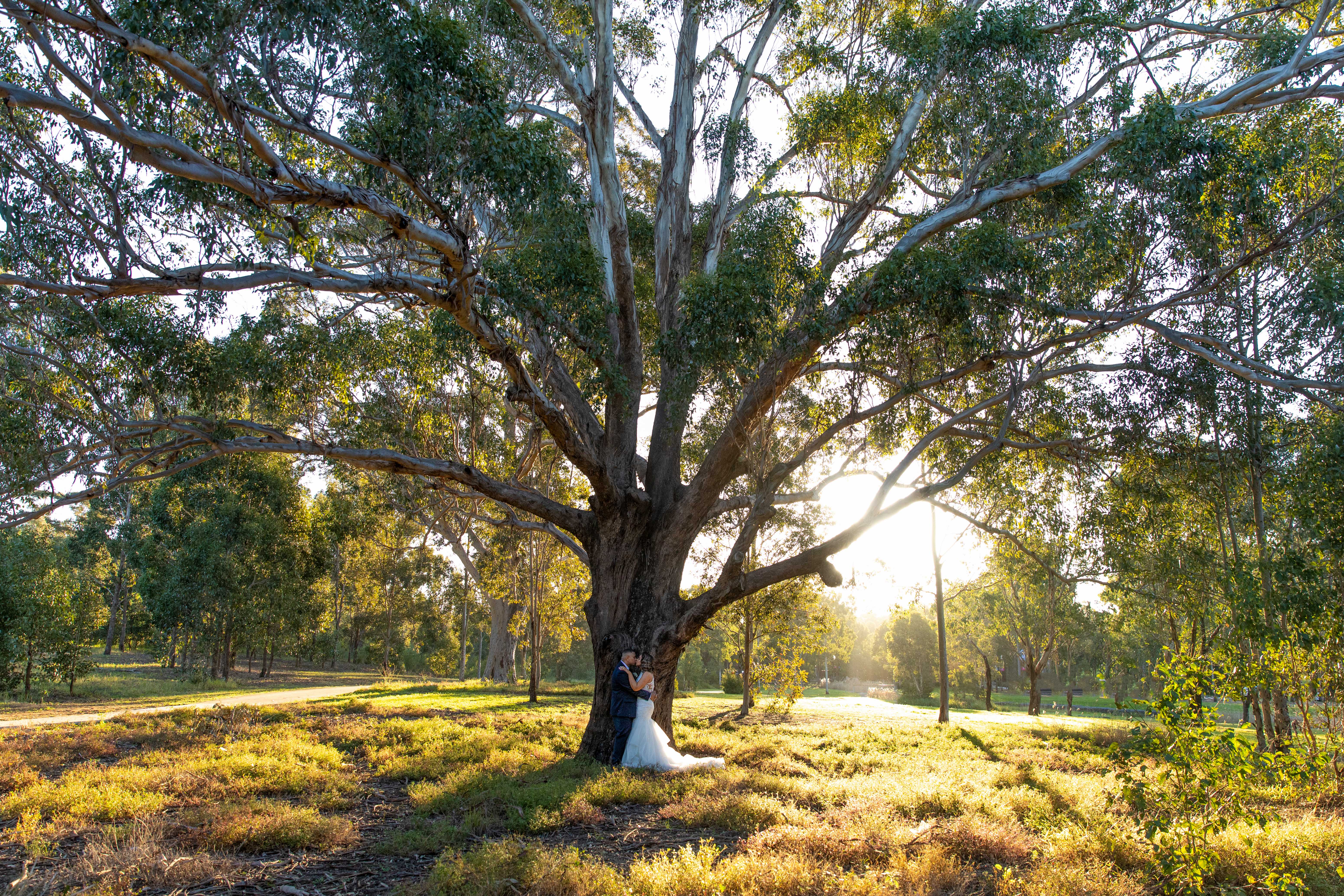 Gorman Imagery SupplierHero Wedding Photography