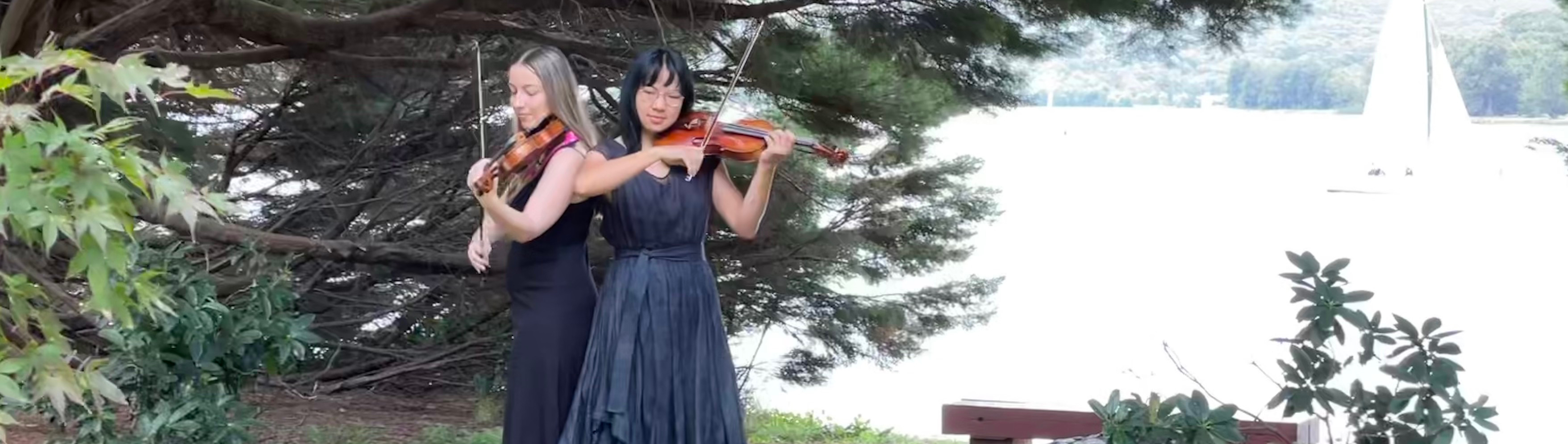 Heart Strings SupplierHero Wedding Music