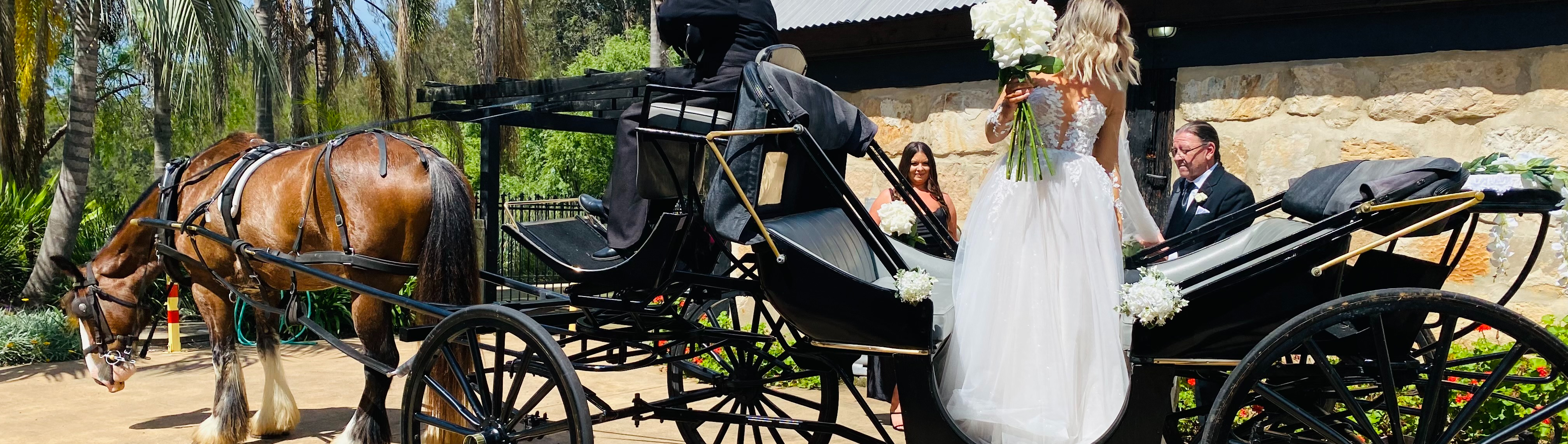 Hunter Valley Classic Carriages SupplierHero Wedding Cars