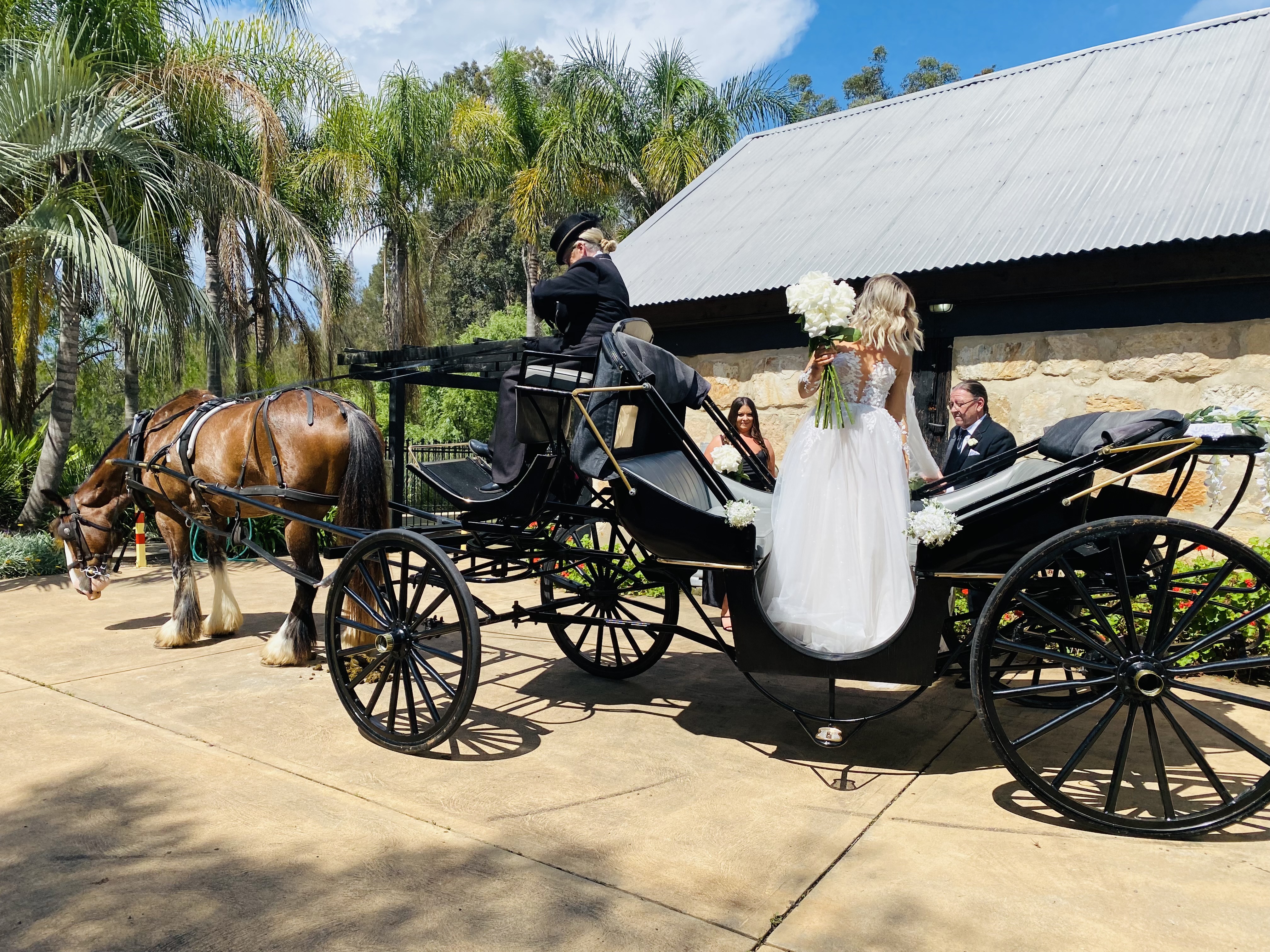 Hunter Valley Classic Carriages