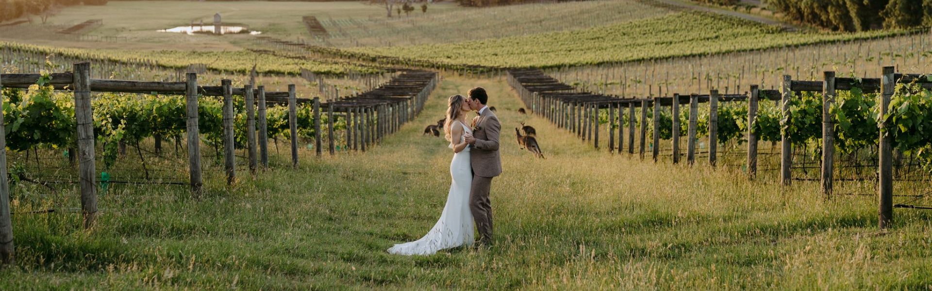 Immerse Winery SupplierHero Wedding Venues