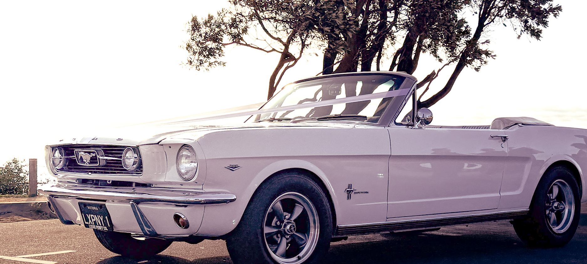 Luxe Pony Co. SupplierHero Wedding Cars