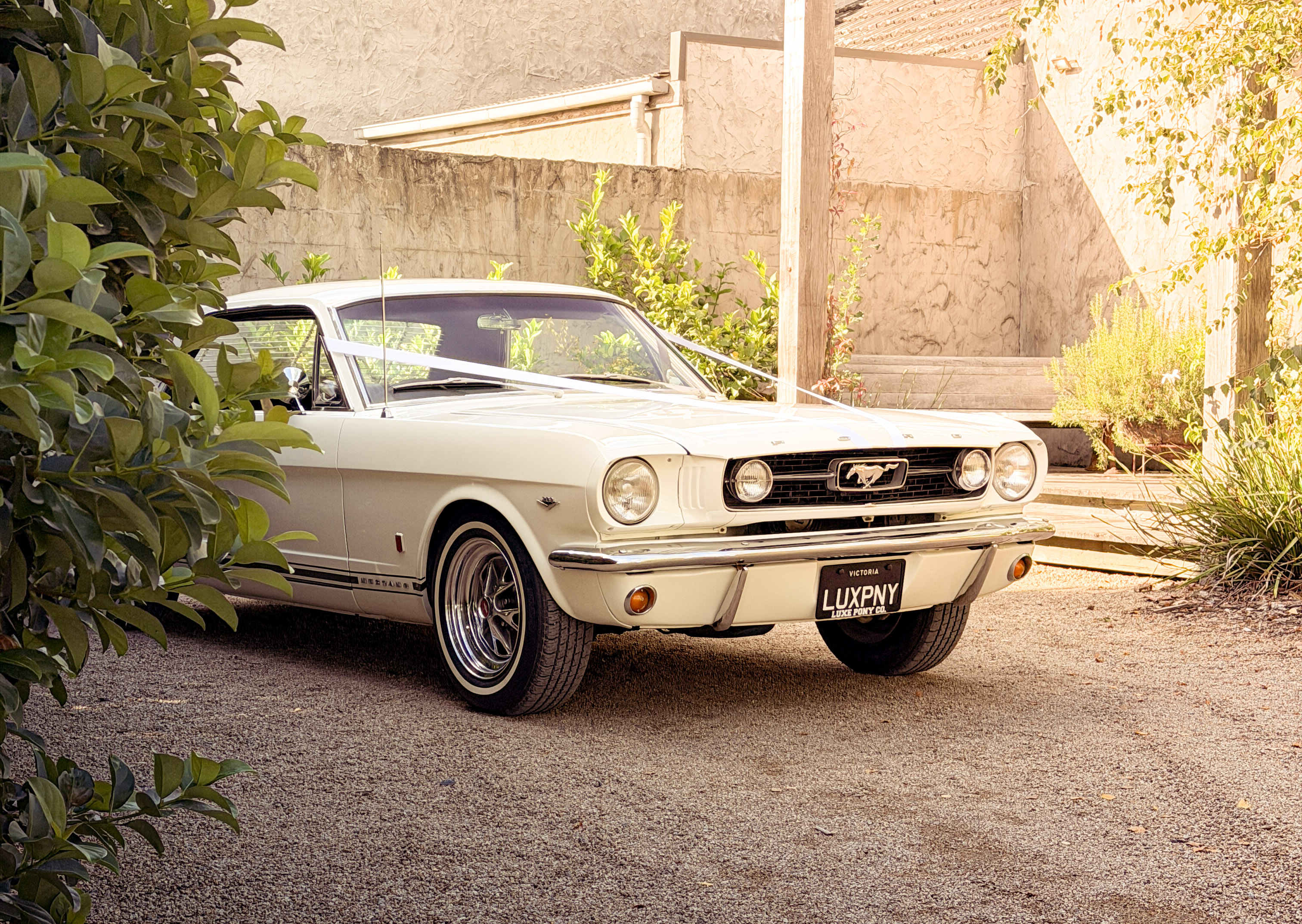 Luxe Pony Co. SupplierHero Wedding Cars