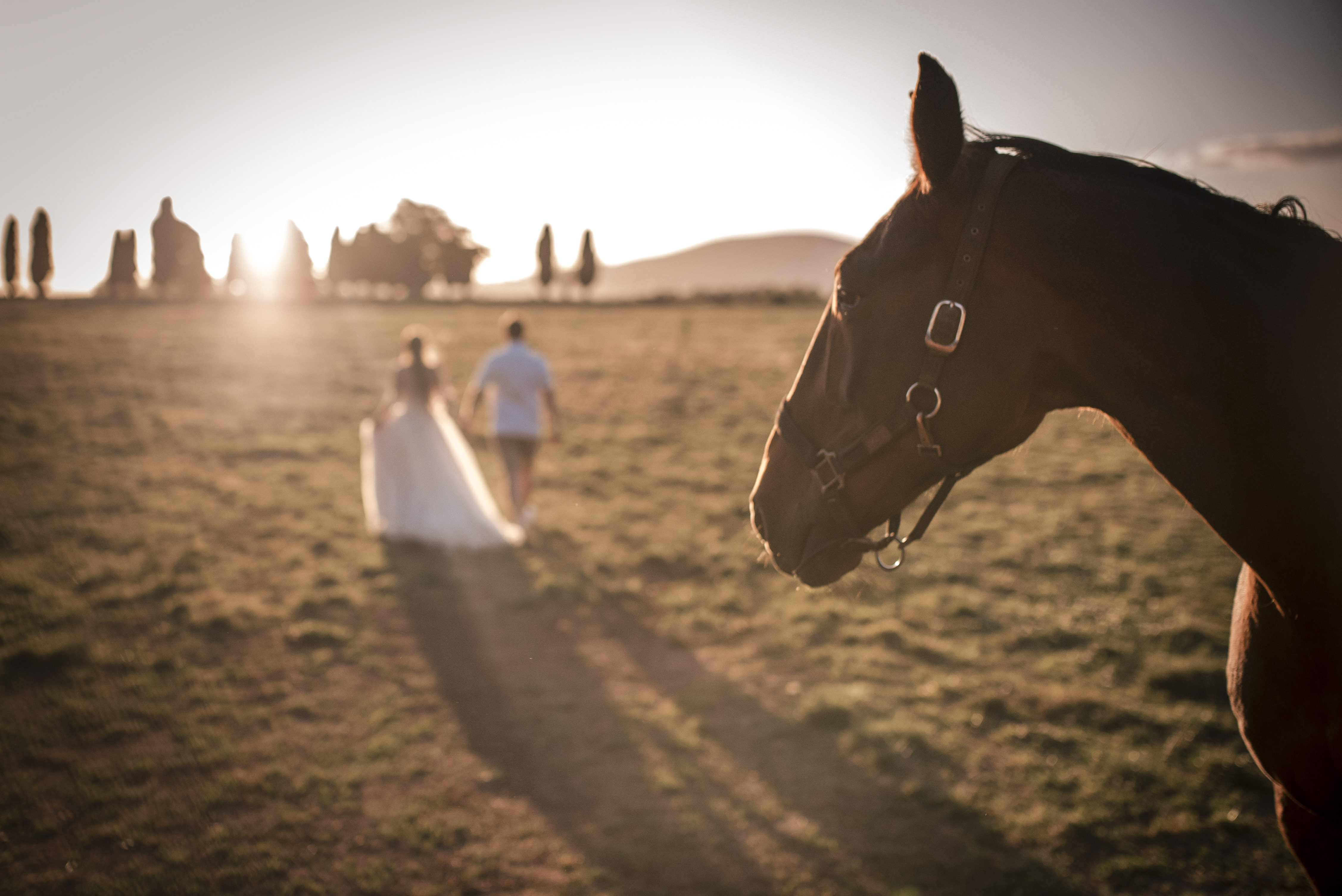 Marcus Carter Photography SupplierHero Wedding Photography