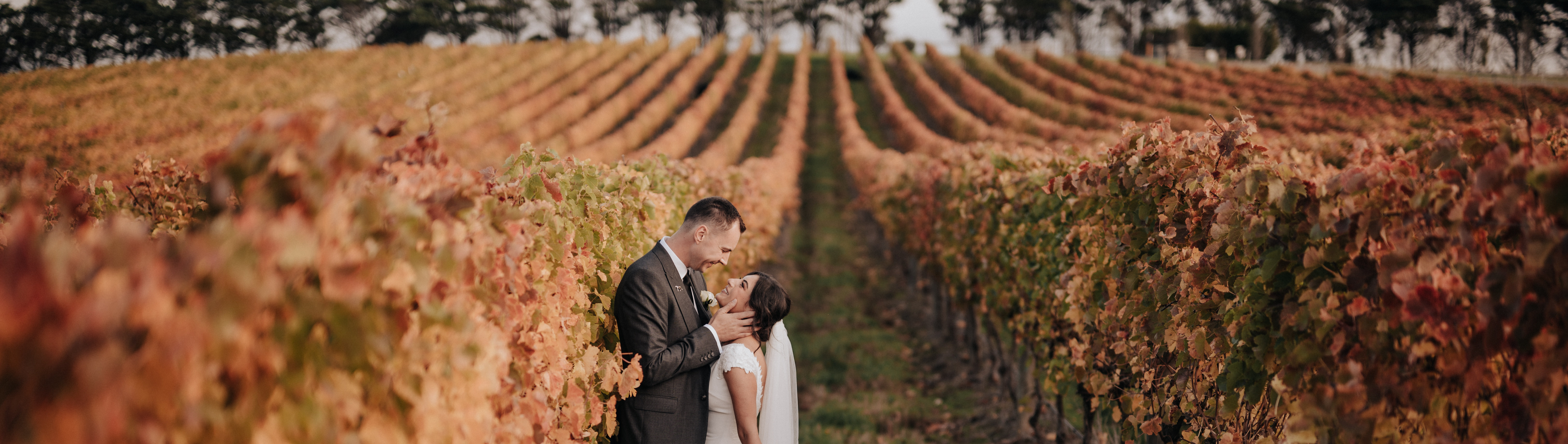 Marnong Estate SupplierHero Wedding Venues