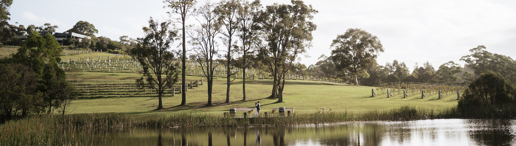 Mimosa Wines SupplierHero Wedding Venues