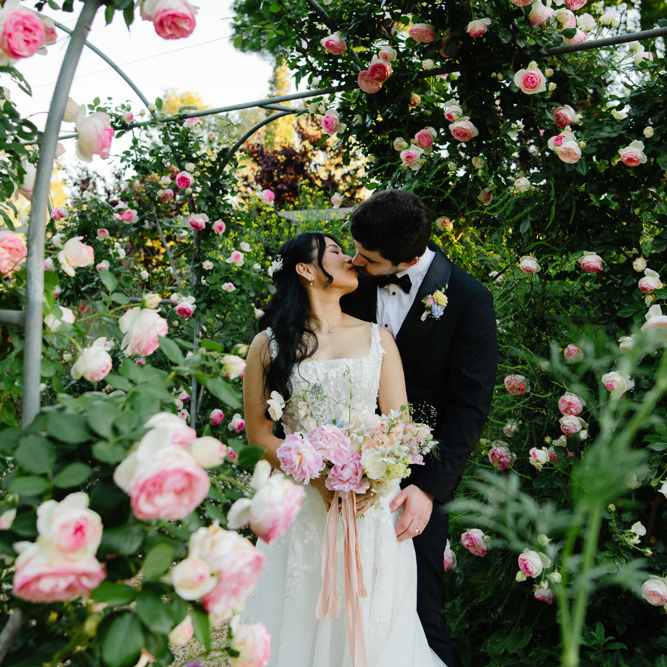 Mitcha Photography & Film