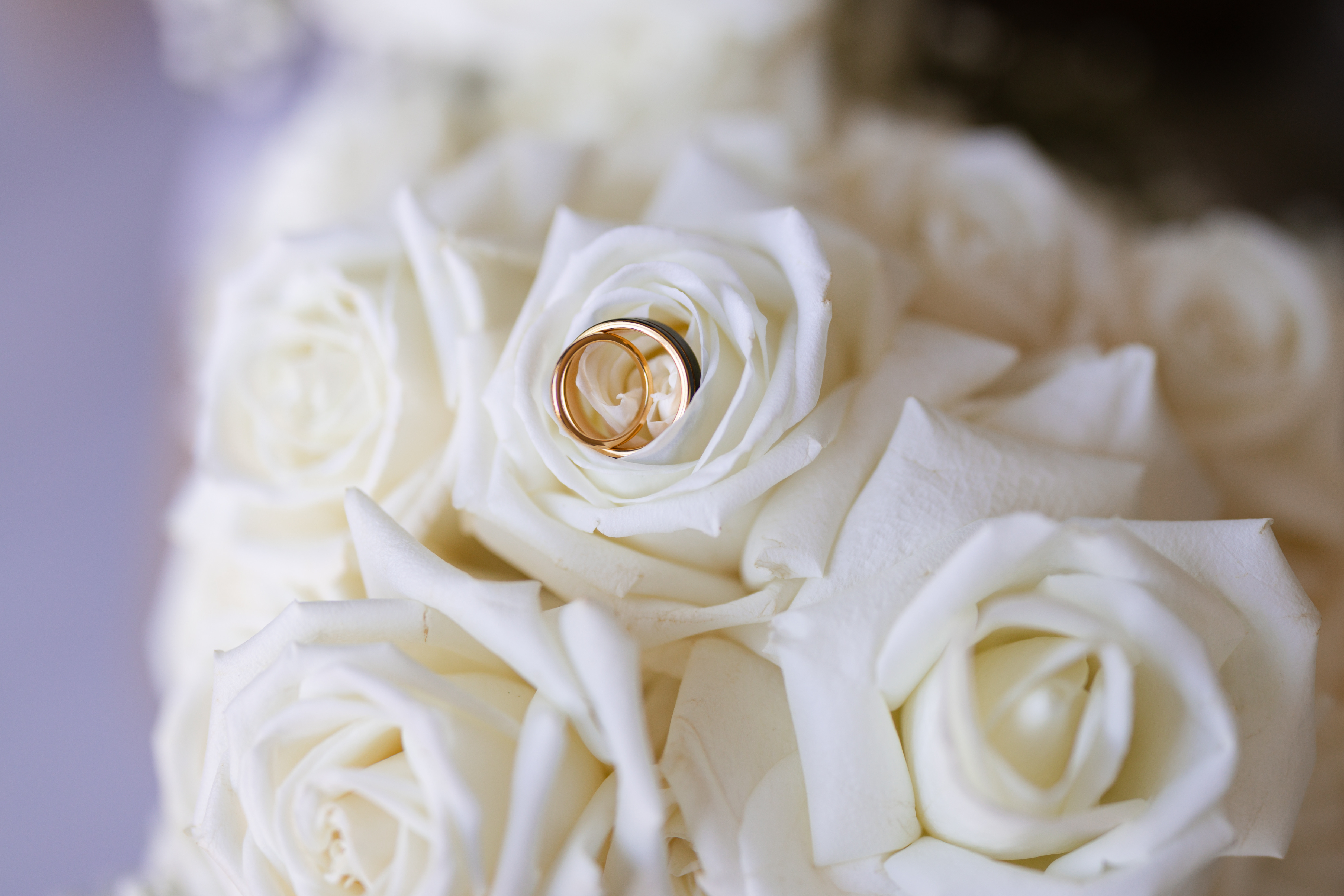 Mogra Connection Flowers & More SupplierHero Wedding Flowers