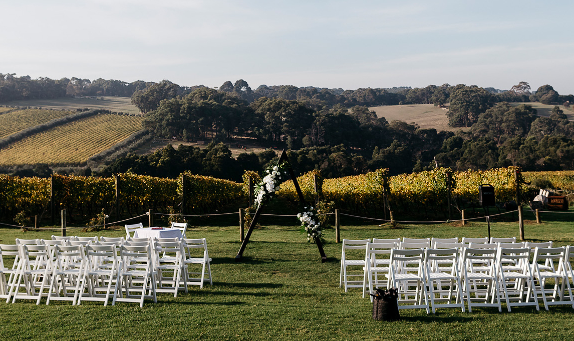 Montalto Vineyard & Olive Grove