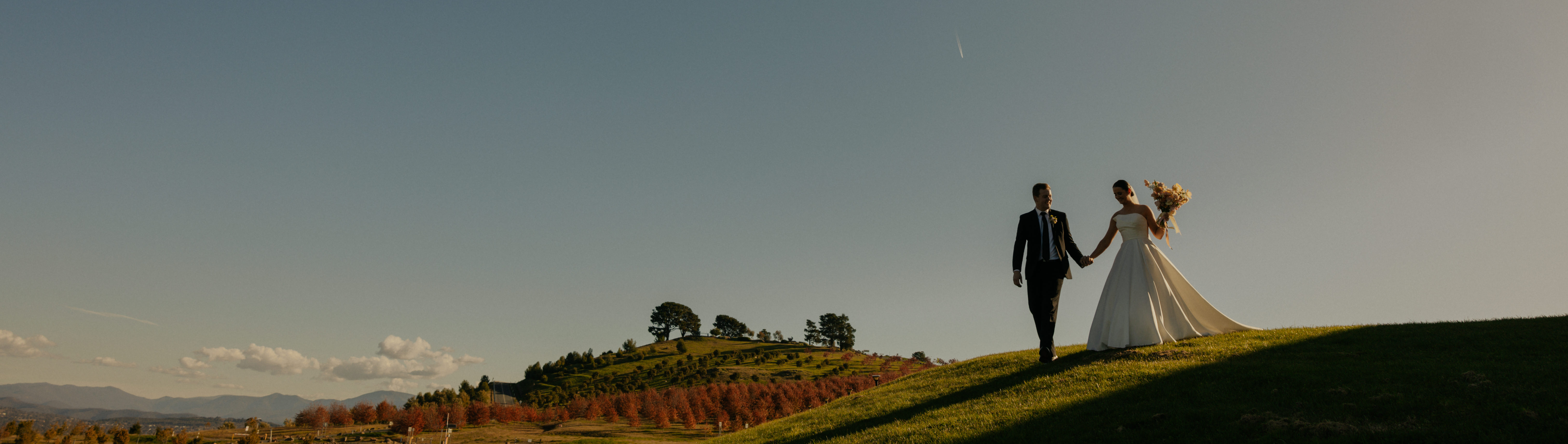 National Arboretum Canberra SupplierHero Wedding Venues