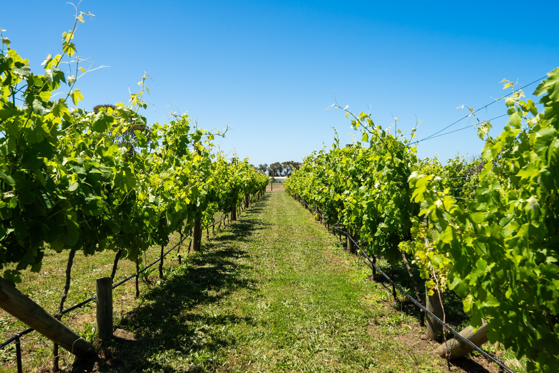 Oxley Events SupplierHero Wedding Venues