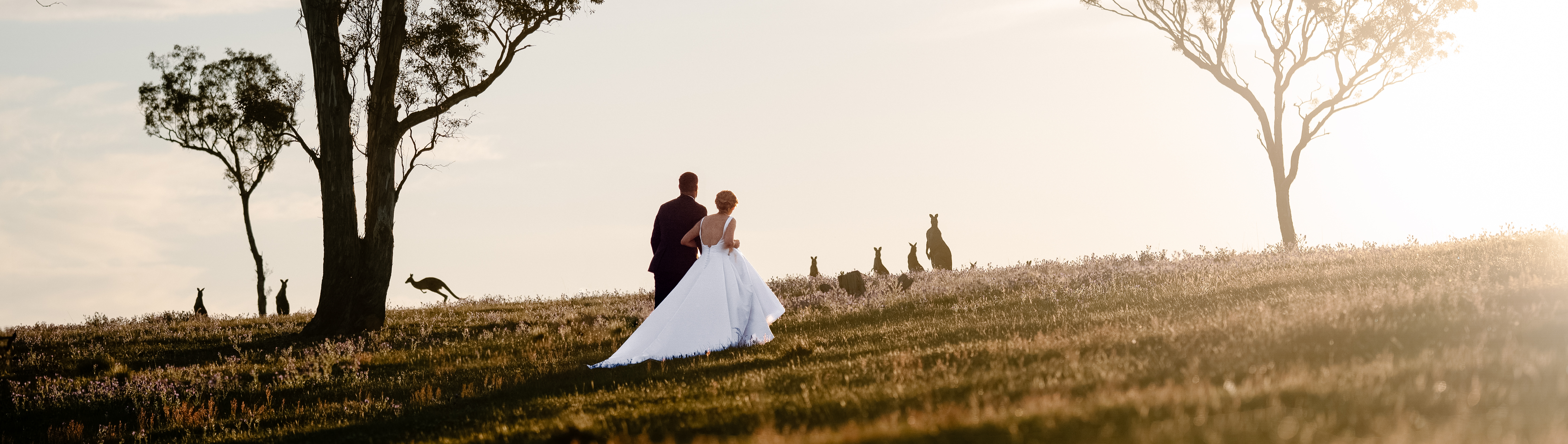 PrecisePix SupplierHero Wedding Photography