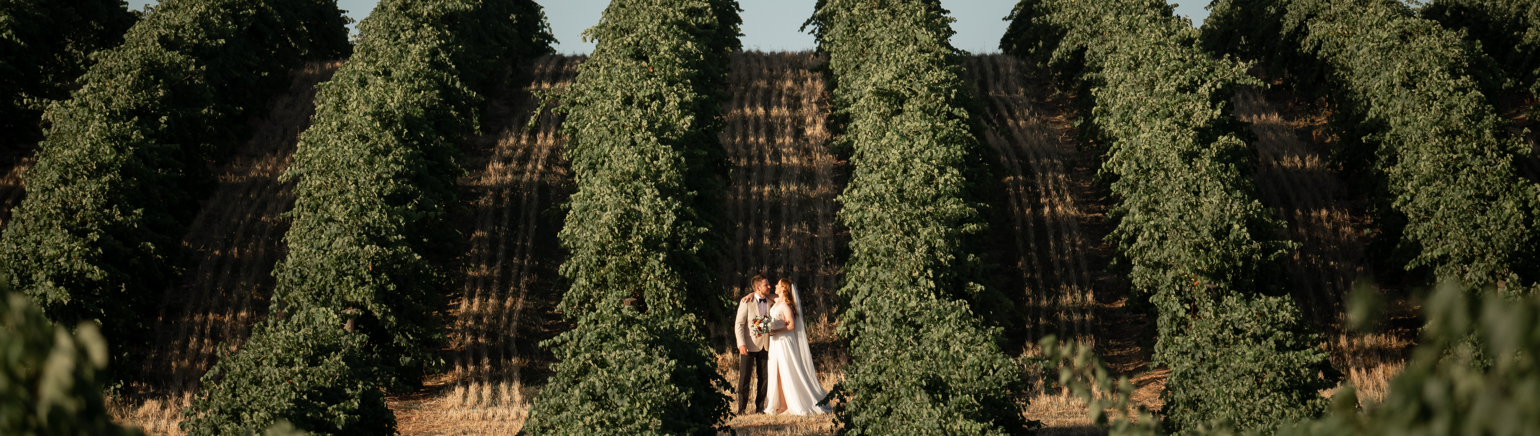 Rebekah Bianca Photography & Videography SupplierHero Wedding Photography