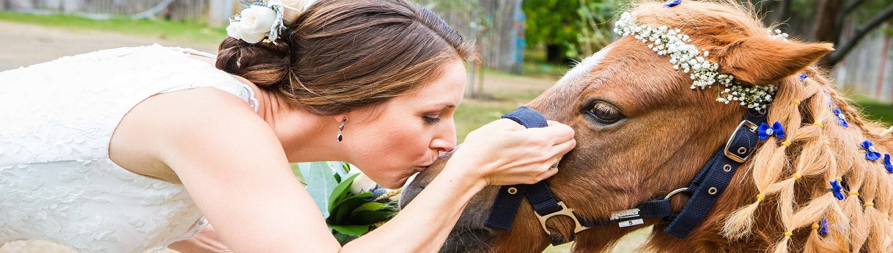 Ronald Cruickshank Marriage Celebrant Hervey Bay SupplierHero Marriage Celebrants