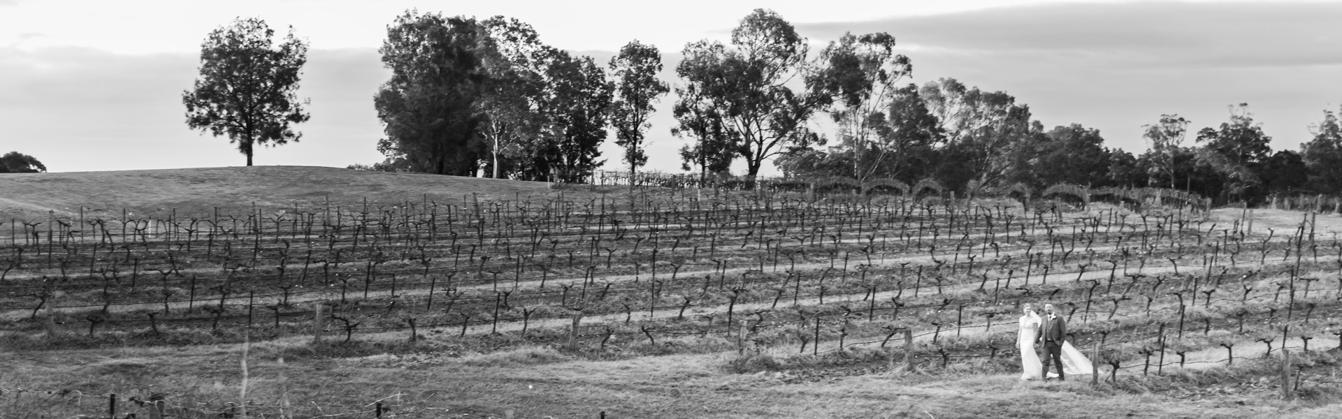 Smithers Photography SupplierHero Wedding Photography