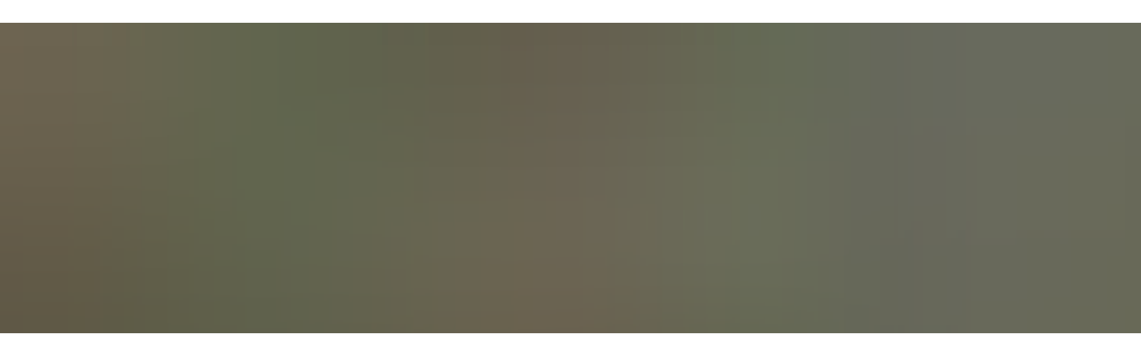 sydney wedding flowers